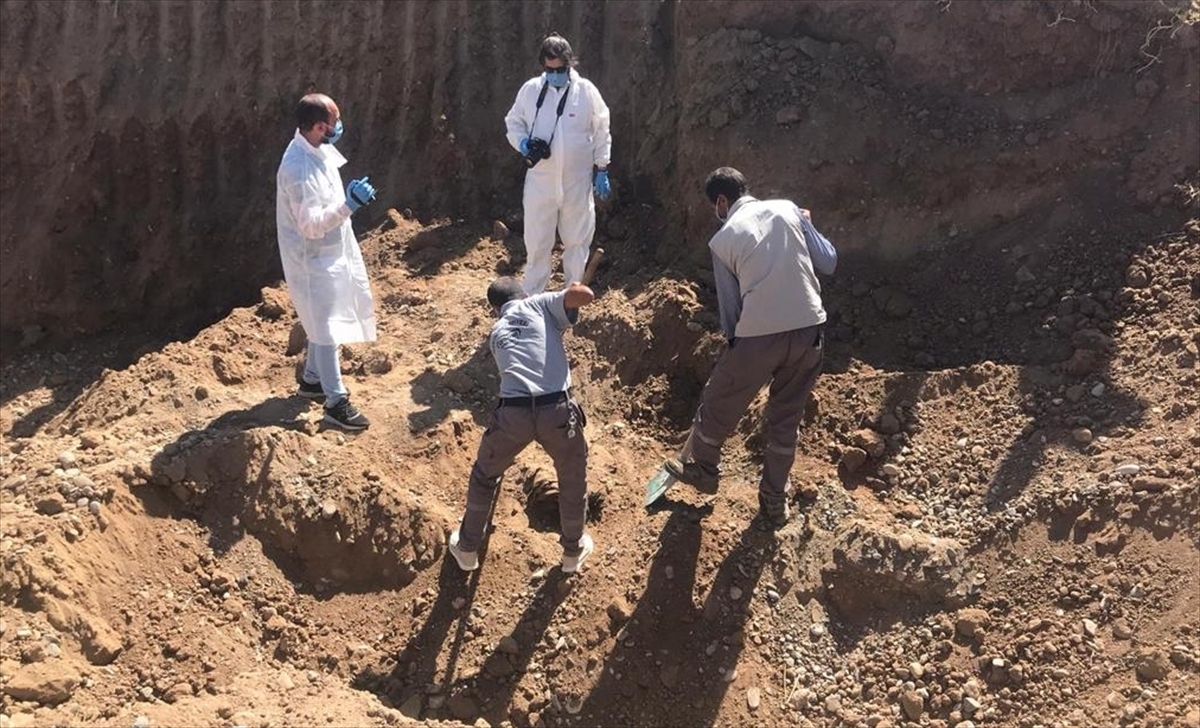 Diyarbakır'da Kayıp İlanı Verdiği Eşini Öldürdüğü Ortaya Çıkan Zanlı Yakalandı  