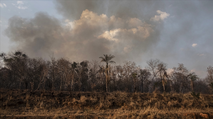 Amazonlarda Bu Yıl Çıkan Yangınlar 2021'dekileri Geride Bıraktı