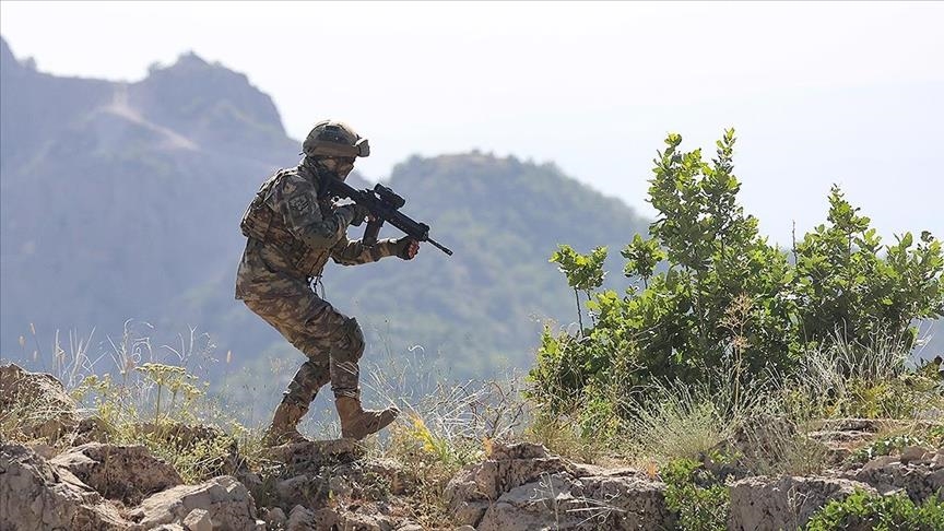 Fırat Kalkanı Ve Barış Pınarı Bölgelerinde 10 PKK/YPG'li Terörist Etkisiz Hale Getirildi