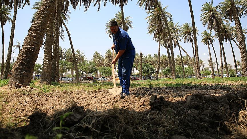 Irak'ta Tarıma Elverişli Araziler İklim Değişikliği Ve Kuraklıktan Etkileniyor