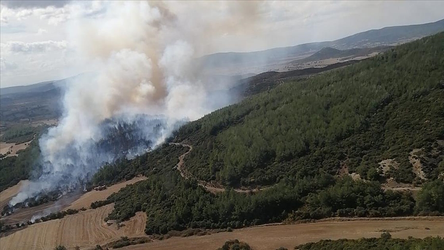 Çanakkale'de Çıkan Orman Yangınına Müdahale Ediliyor