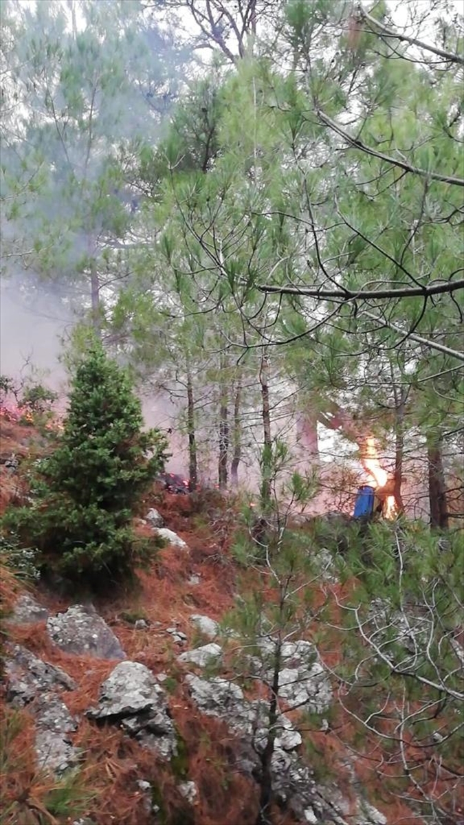 Adana Ve Osmaniye'de Çıkan 4 Orman Yangını Kontrol Altına Alındı