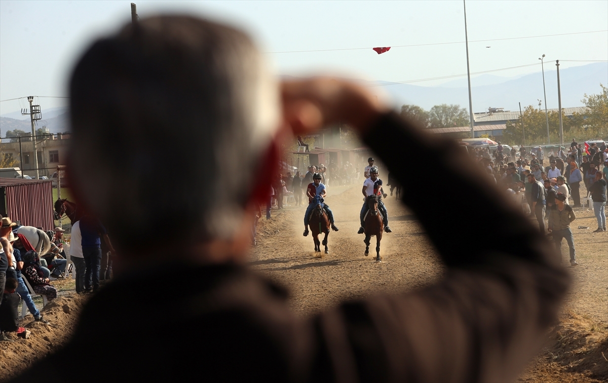 Aydın'da Rahvan At Yarışları Gerçekleştirildi  