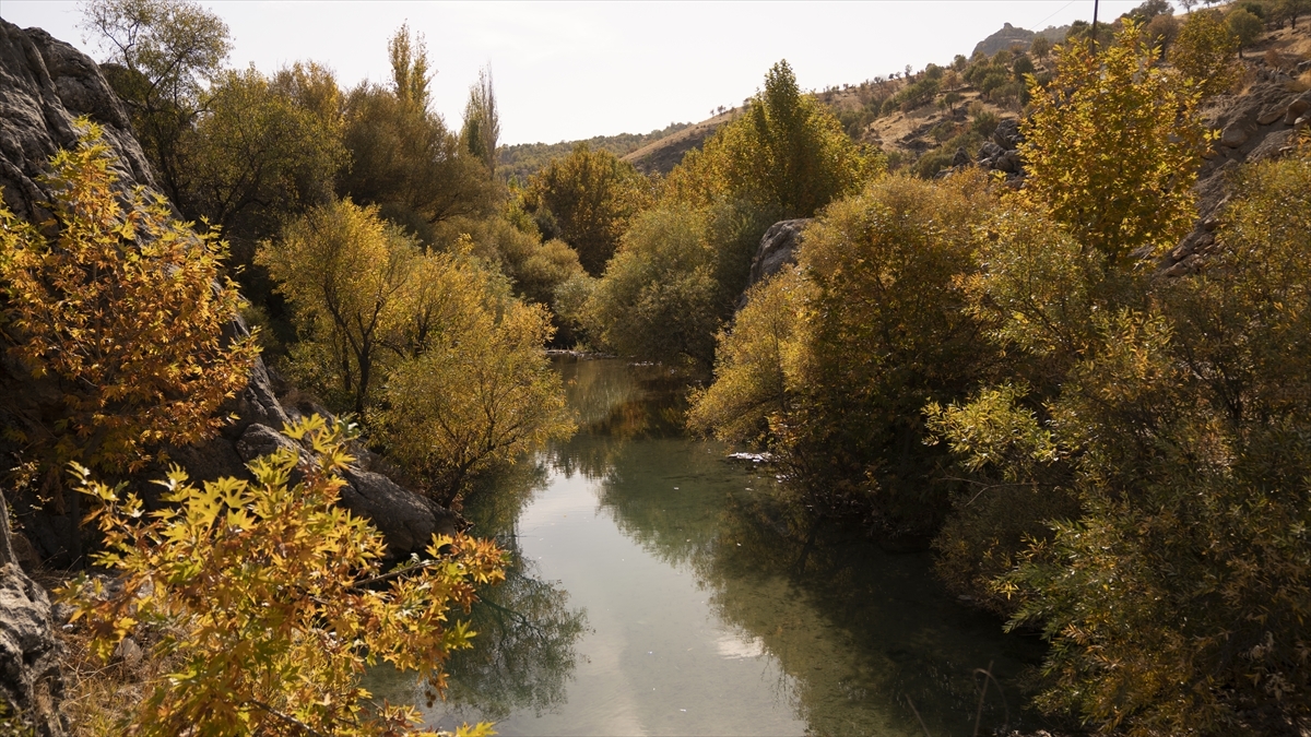 Şanlıurfalı Amatör Fotoğrafçılar Sonbaharı Fotoğrafladı