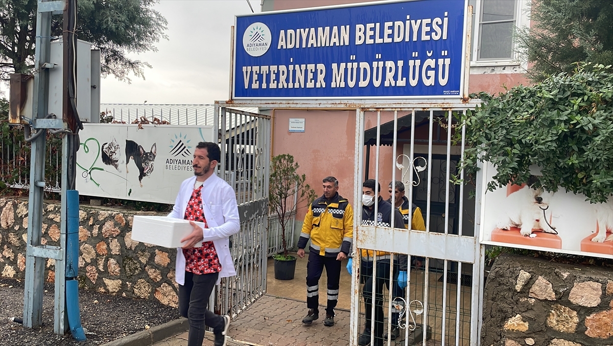 Adıyaman'da Karantinaya Alınan Mahallelerde Kuduz Aşısı Çalışması Sürüyor