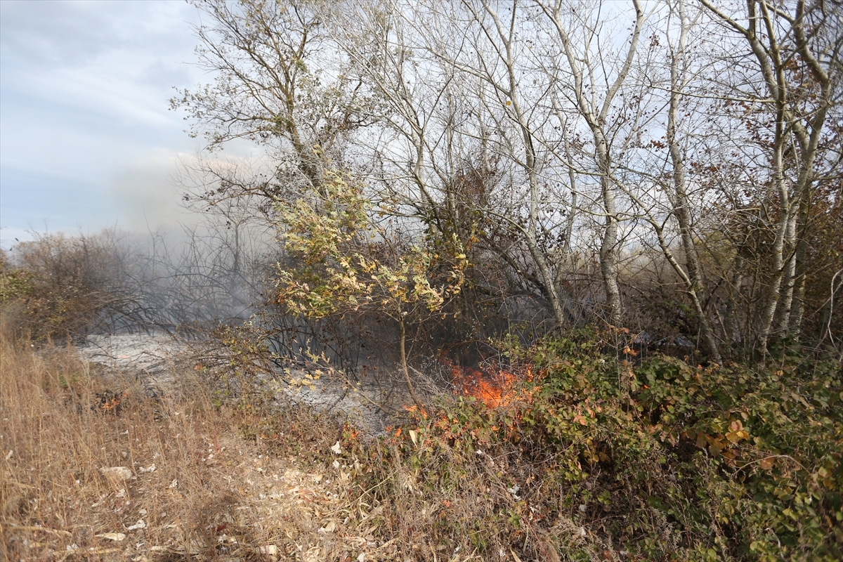 Bursa'da Ağaçlık Alanda Çıkan Yangın Söndürüldü