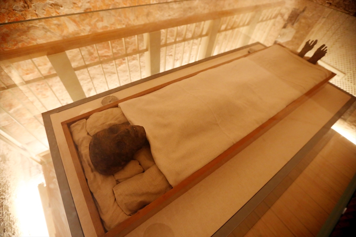 Tutankamon'un Hazineleri, Mezarının Keşfedilişinin 100. Yılında Tek Müzede Toplanıyor