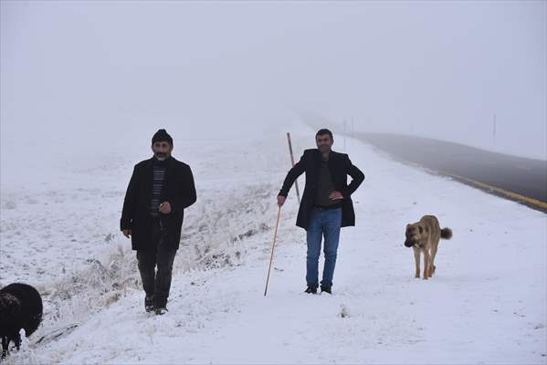 Kars'ta Göçerlerin Yayladan Kar Ve Sis Arasında Zorlu Dönüş Yolculuğu Başladı