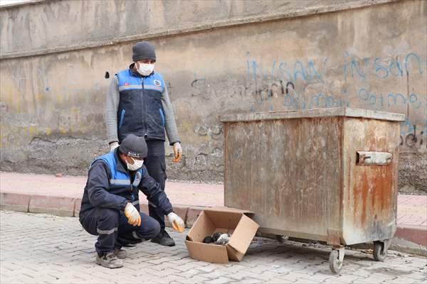 Siirt'te Çöp Konteynerine Atılan Köpek Yavrularını Temizlik Personeli Kurtardı