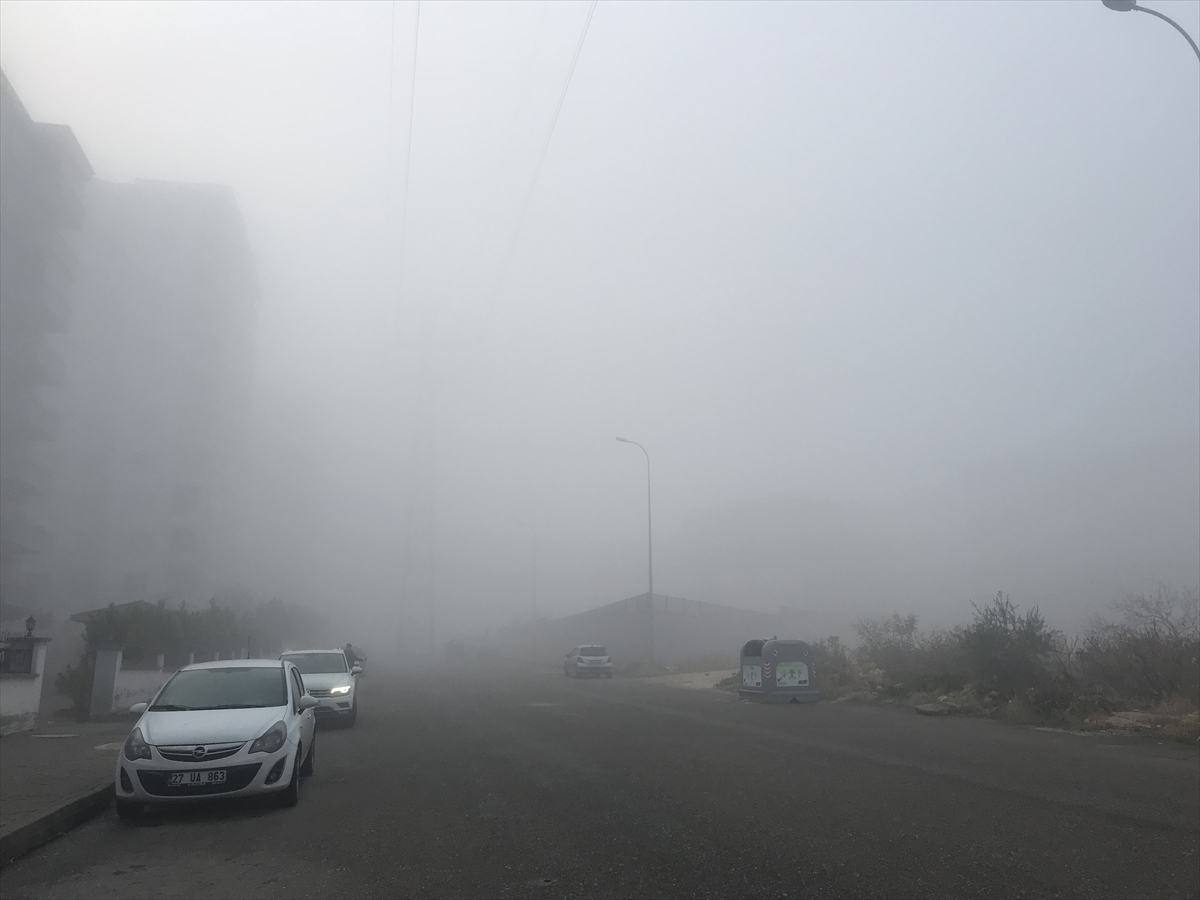 Gaziantep, Adıyaman Ve Kahramanmaraş'ta Sis Etkili Oldu