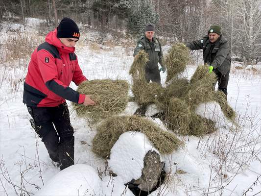 Kar Yağışının Etkili Olduğu Ardahan'da Doğaya Yem Bırakıldı