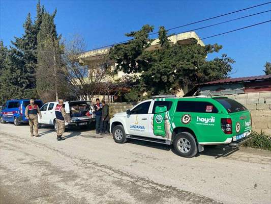 Hatay'da Sahipsiz Köpeği Tüfekle Yaralayan Şüpheli Yakalandı