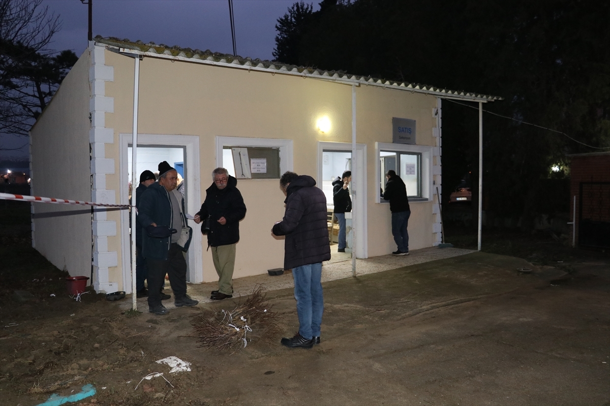 Tekirdağ'da Üreticilere, Uygun Fiyatlı 110 Bin Üzüm Fidanı Satıldı