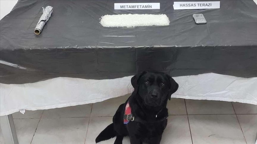 Ağrı'da Narkotik Köpekleriyle Uyuşturucu Denetimi Yapıldı