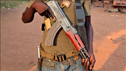Nijerya Ordusu Teröristlerin Rehin Aldığı 201 Kişiyi Kurtardı