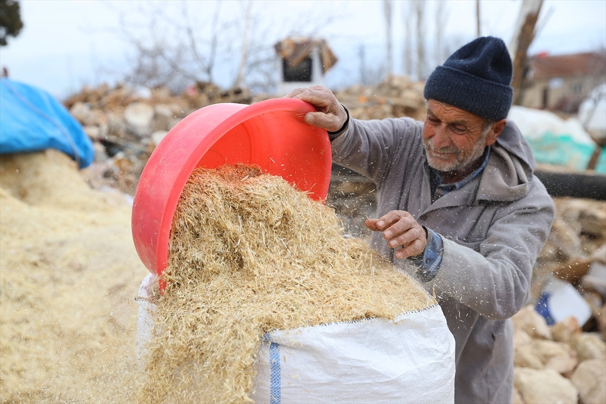 Depremden 8 Gün Sonra Enkazdan Çıkarılan Hayvanlarıyla Teselli Buluyorlar