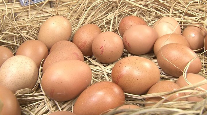 Cezaevlerinde Üretilen Yumurtalar Yoğun İlgi Görüyor