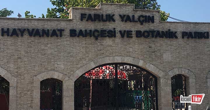 Kocaeli'deki Hayvanat Bahçesi Bayramda Ziyaretçilerini Ağırlamaya Hazır