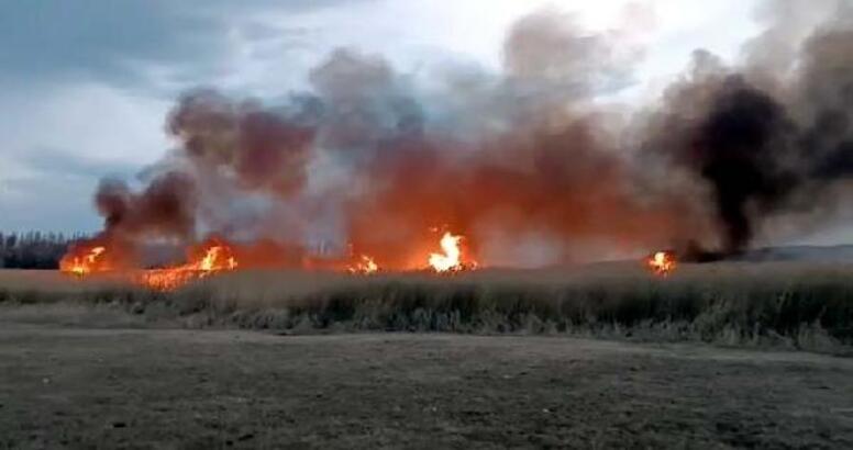 Van'da Kazlıgöl Sazlığı'nda Çıkan Yangın Söndürüldü