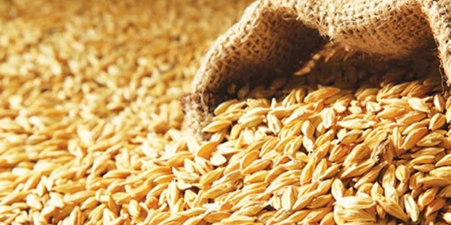 Buğday, Mısır ve Arpada Gümrük Vergileri Yüzde 130 Olarak Belirlendi