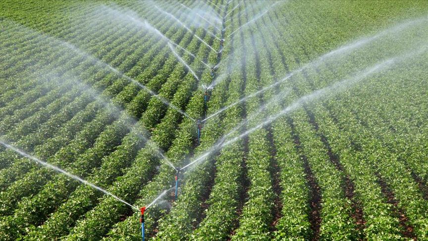 Çiftçilerin Tarımsal Amaçlı Su Kullanım Hizmet Bedelleri Yüzde 50 Desteklenecek