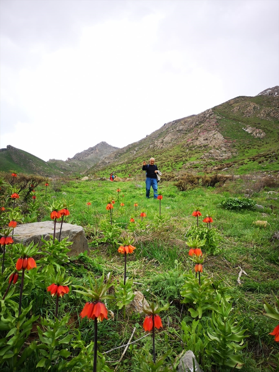 Hakkari'ye Gelen Doğaseverler Eşsiz Doğal Güzellikleri Keşif Gezilerine Katıldı