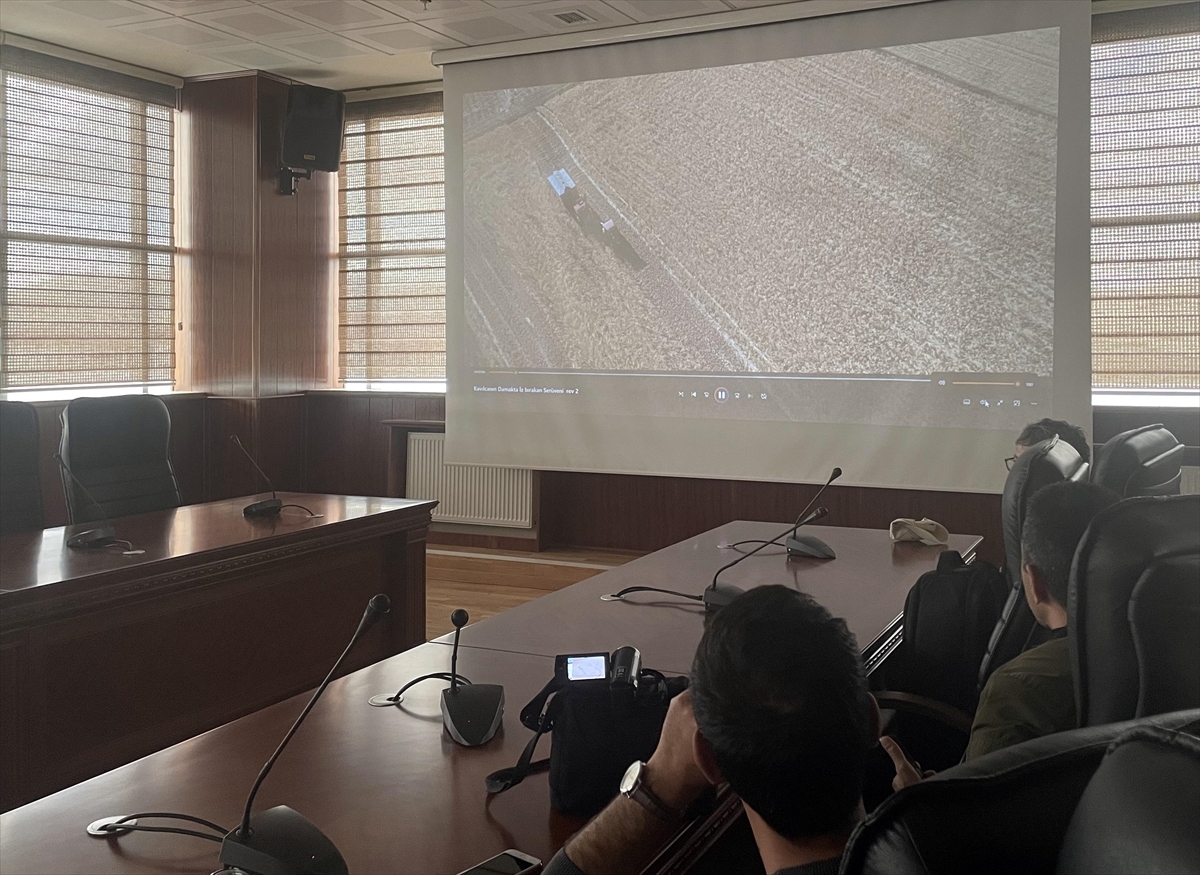 Ardahan'da Ata Tohumu Kavılca Buğdayının Filmi Yapıldı