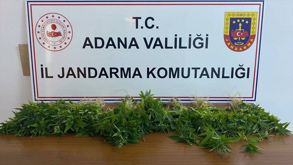 Adana'da Jandarmanın 