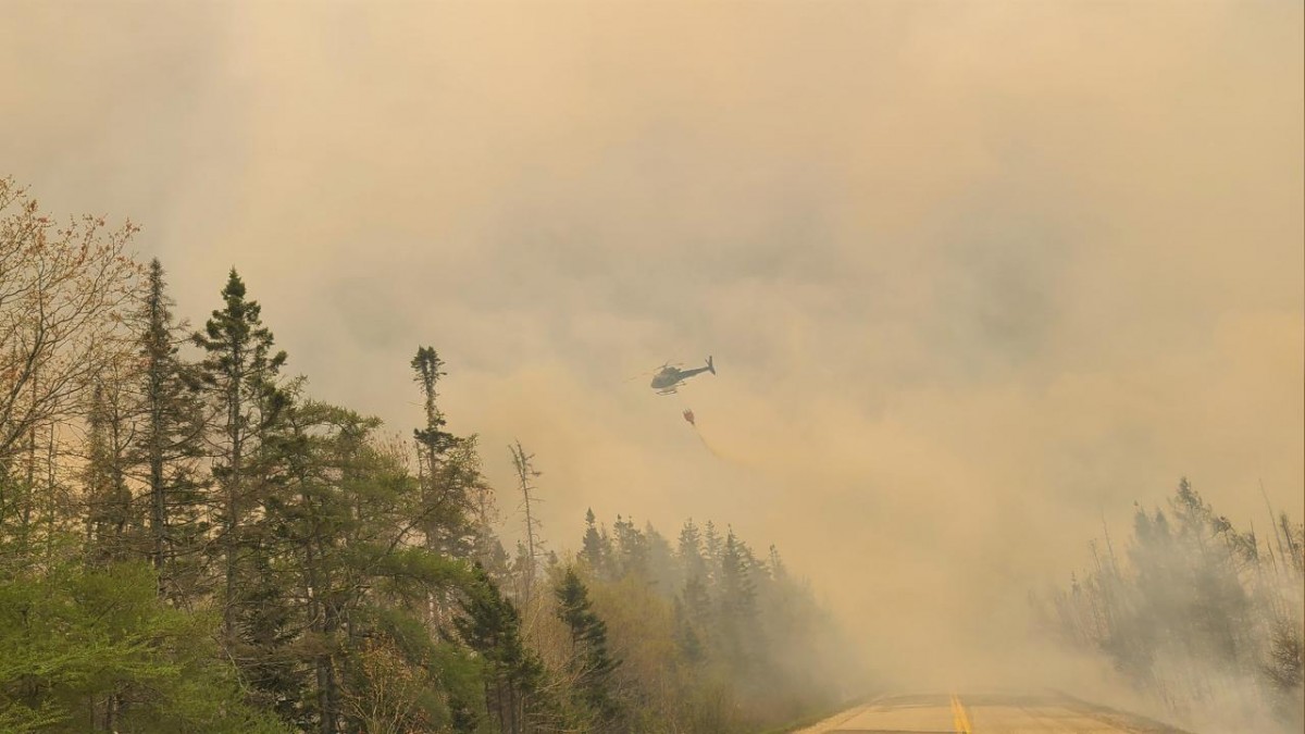 Kanada'daki Orman Yangınları, ABD'nin Minnesota Eyaletinde Hava Kalitesini Düşürdü