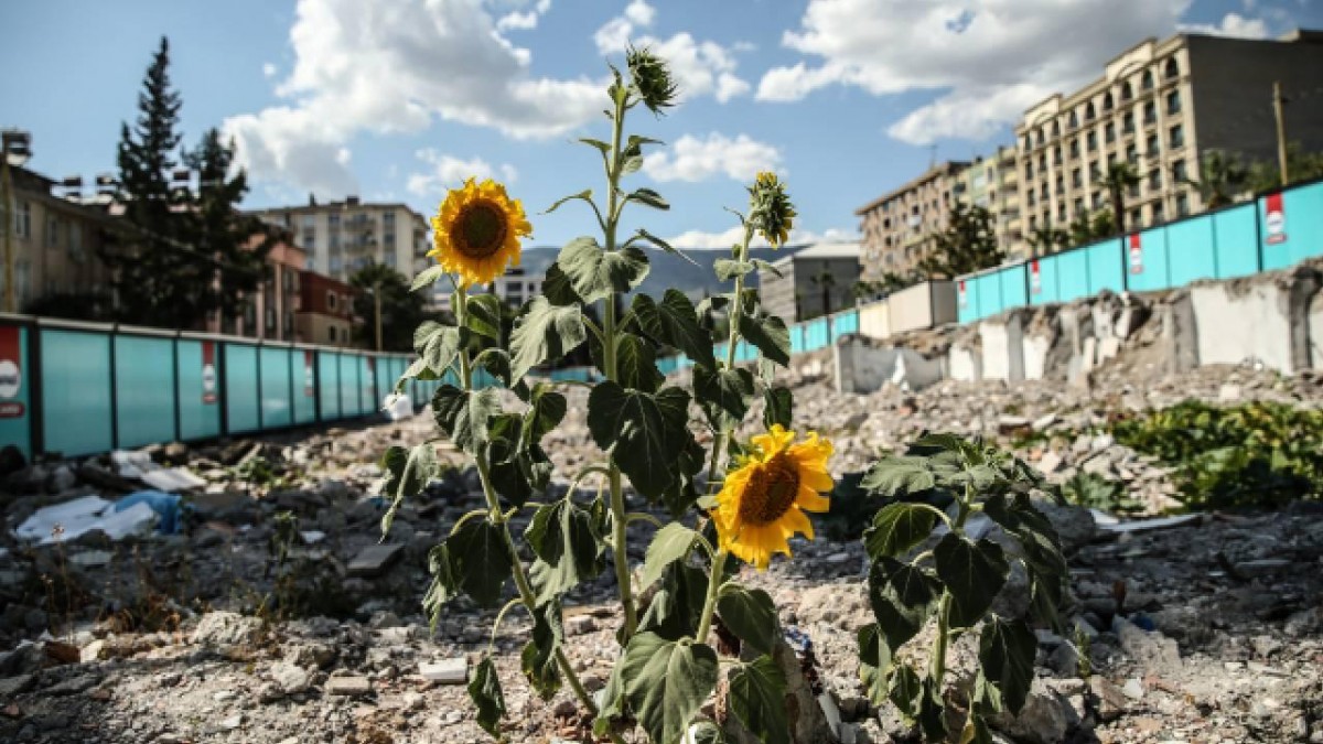 Kahramanmaraş'taki Konteyner Çarşı, Kuruyemişçinin Enkazındaki Ürünlerle Yeşerdi