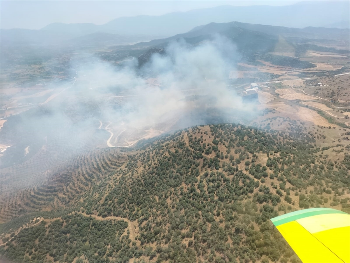 İzmir'de Tarlada Başlayan ve Bozuk Ormana Sıçrayan Yangına Müdahale Ediliyor