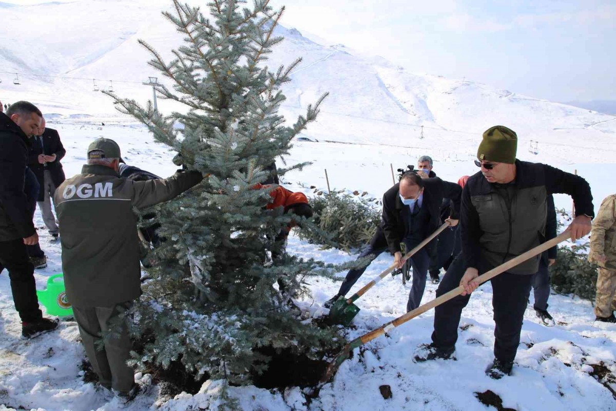 Erzurum'daki Konaklı Kayak Merkezi'nde Fidanlar Toprakla Buluştu