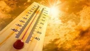 Aşırı Sıcaklara Bağlı Ölümler Yeni Normal Haline Gelebilir