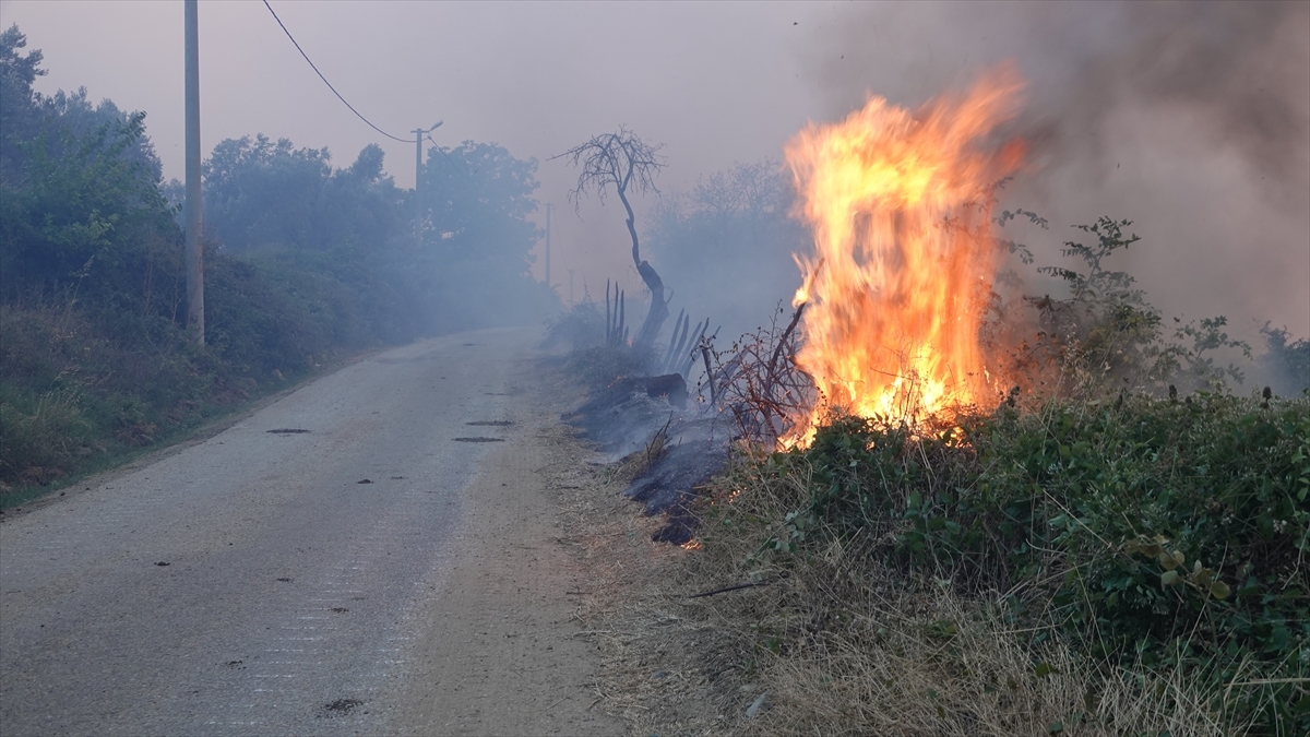 Çanakkale'deki Orman Yangınına Havadan Ve Karadan Müdahale Sürüyor