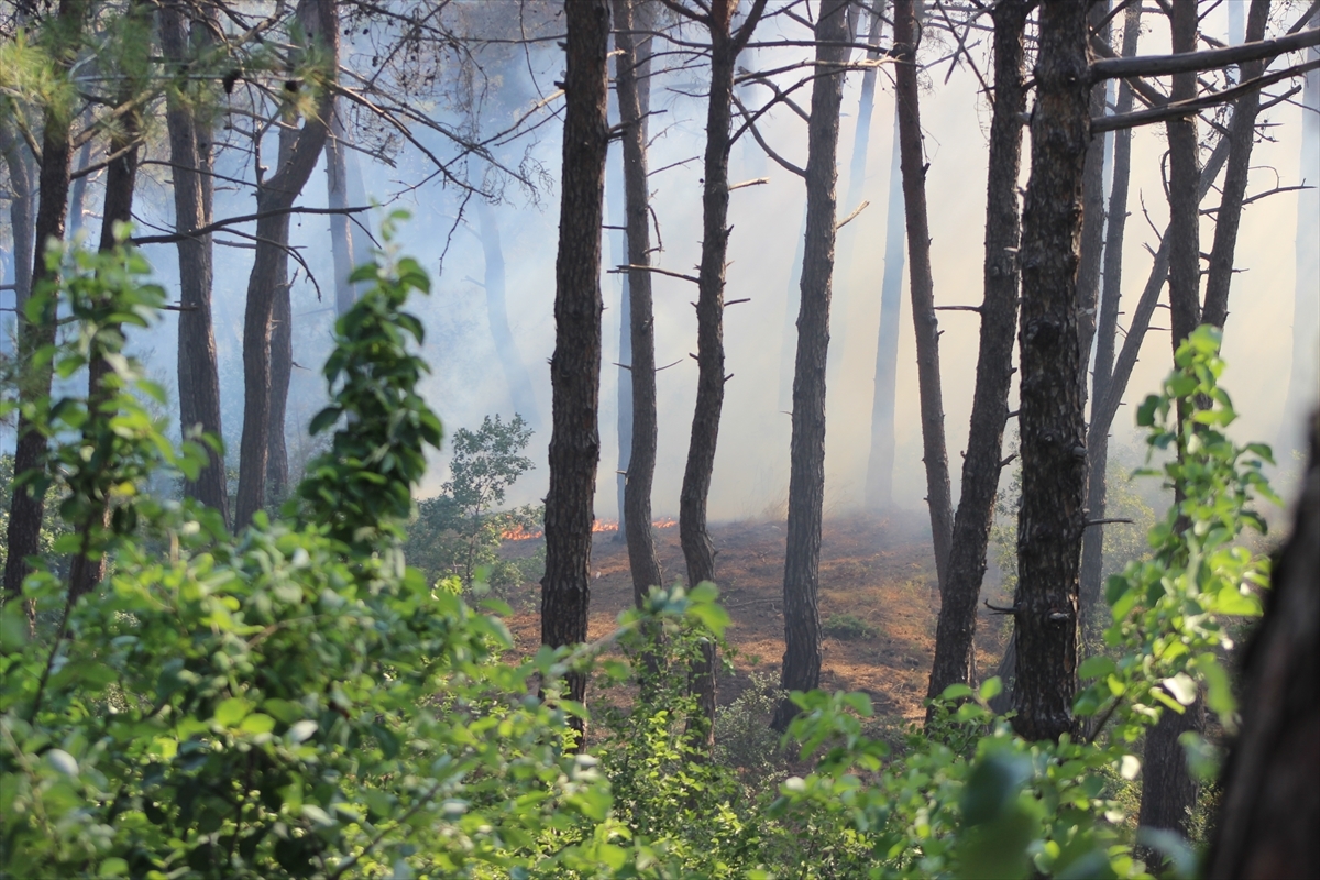 Hatay'ın Belen ilçesinde Dün Çıkan Orman Yangınına Müdahale Sürdü