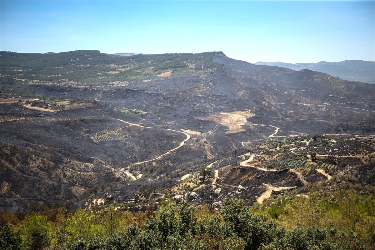 Mersin Gülnar'daki Orman Yangını Kontrol Altına Alındı 