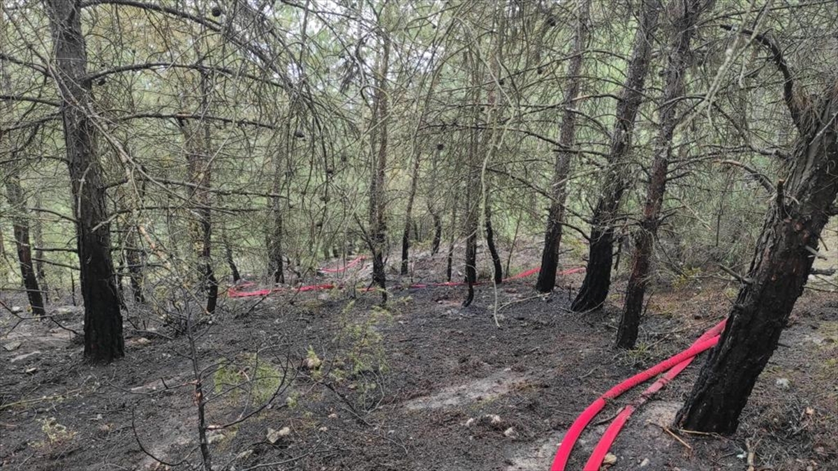 Bilecik'te Ormanlık Alanda Çıkan Yangın Kontrol Altına Alındı