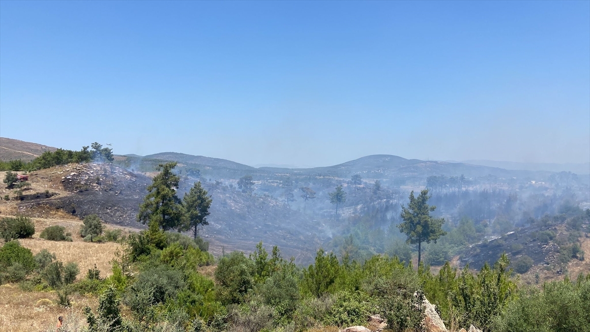 GÜNCELLEME - Muğla'nın Milas İlçesinde Çıkan Orman Yangını Kontrol Altına Alındı