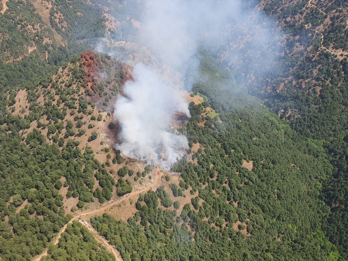 Manisa'nın Alaşehir İlçesinde Orman Yangını Çıktı