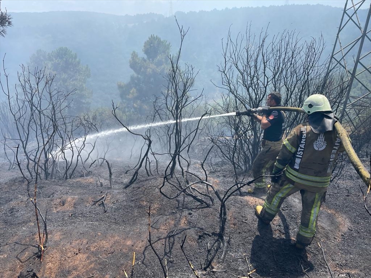 Sultangazi'de Ormanlık Alanda Yangın Çıktı