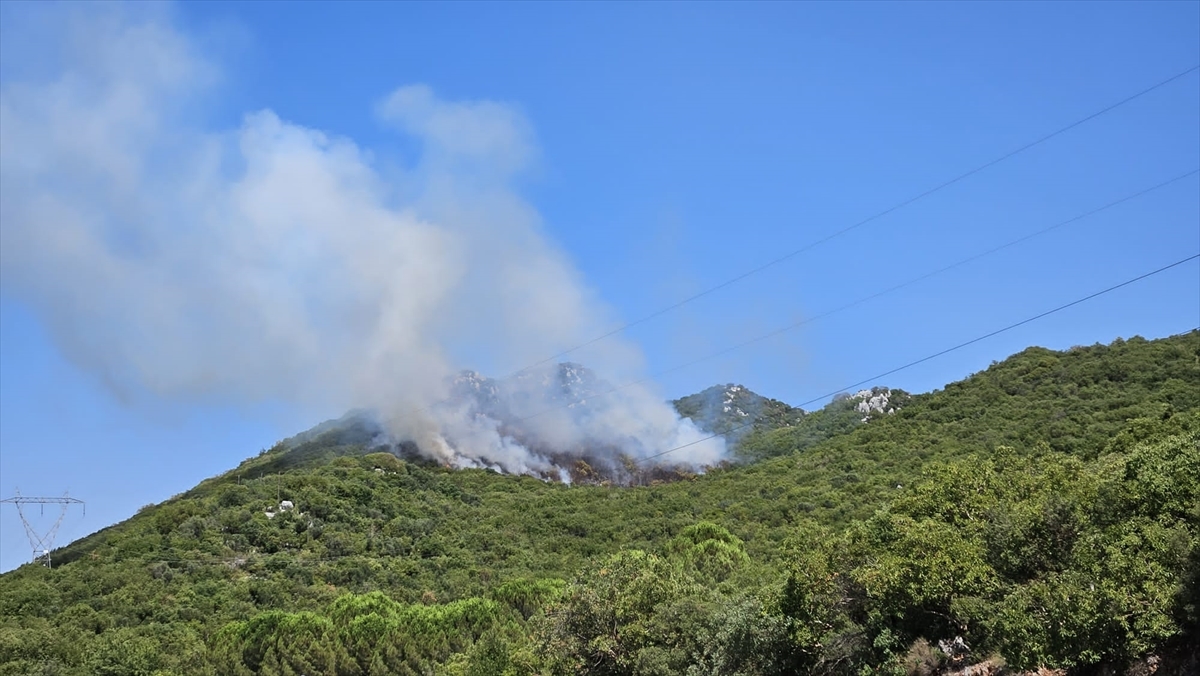 Antalya'nın Demre İlçesinde Orman Yangını Çıktı