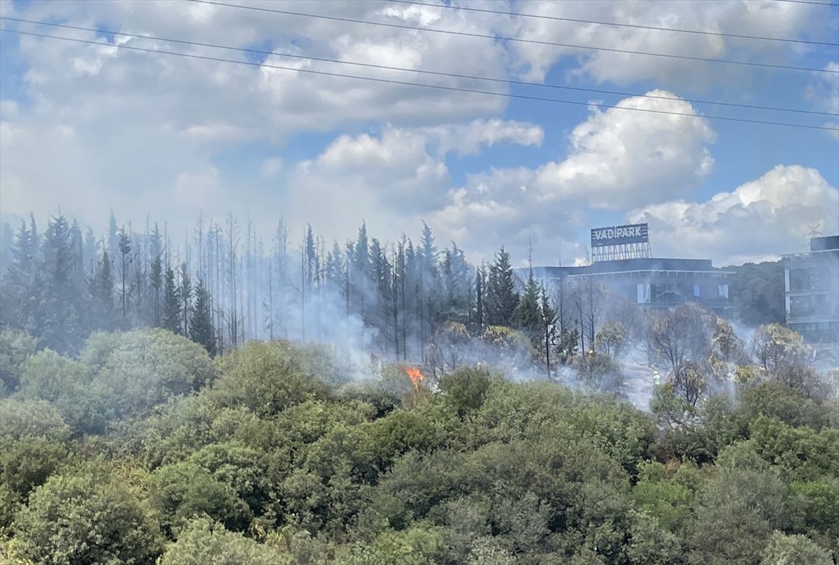 Kağıthane'de Ormanlık Alanda Yangın Çıktı 