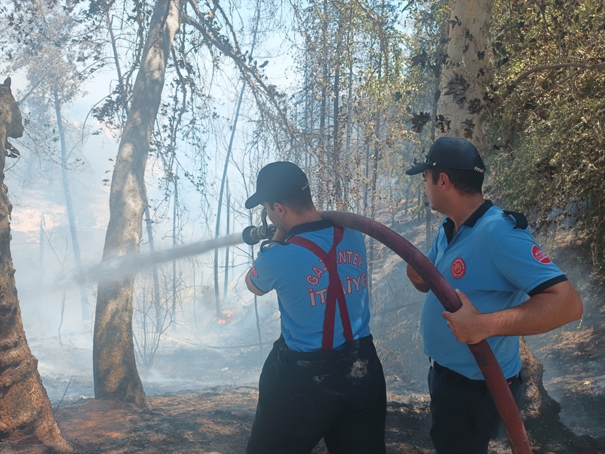 Gaziantep'te Çıkan Orman Yangını Söndürüldü