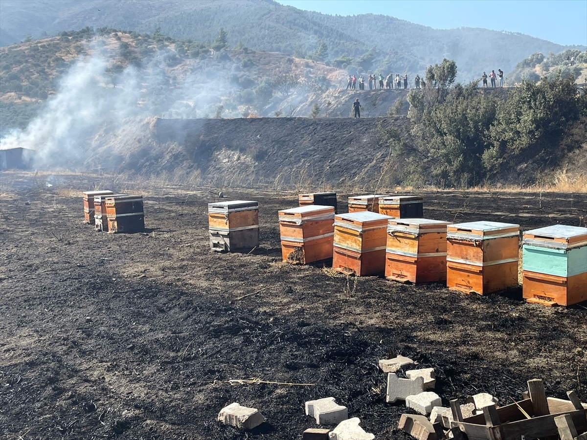 Hatay'da Zeytinlik Ve Ormanlık Alanda Çıkan Orman Yangınına Müdahale Ediliyor