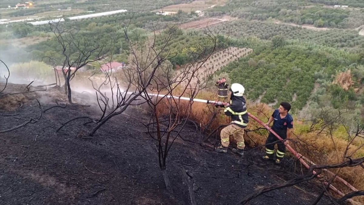 Hatay'da Ağaçlık Ve Makilik Alanda Çıkan Yangın Söndürüldü 