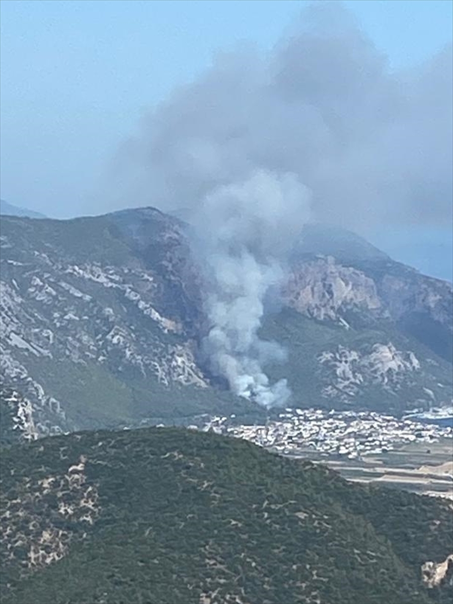 Muğla'da Çıkan Orman Yangınına Müdahale Ediliyor