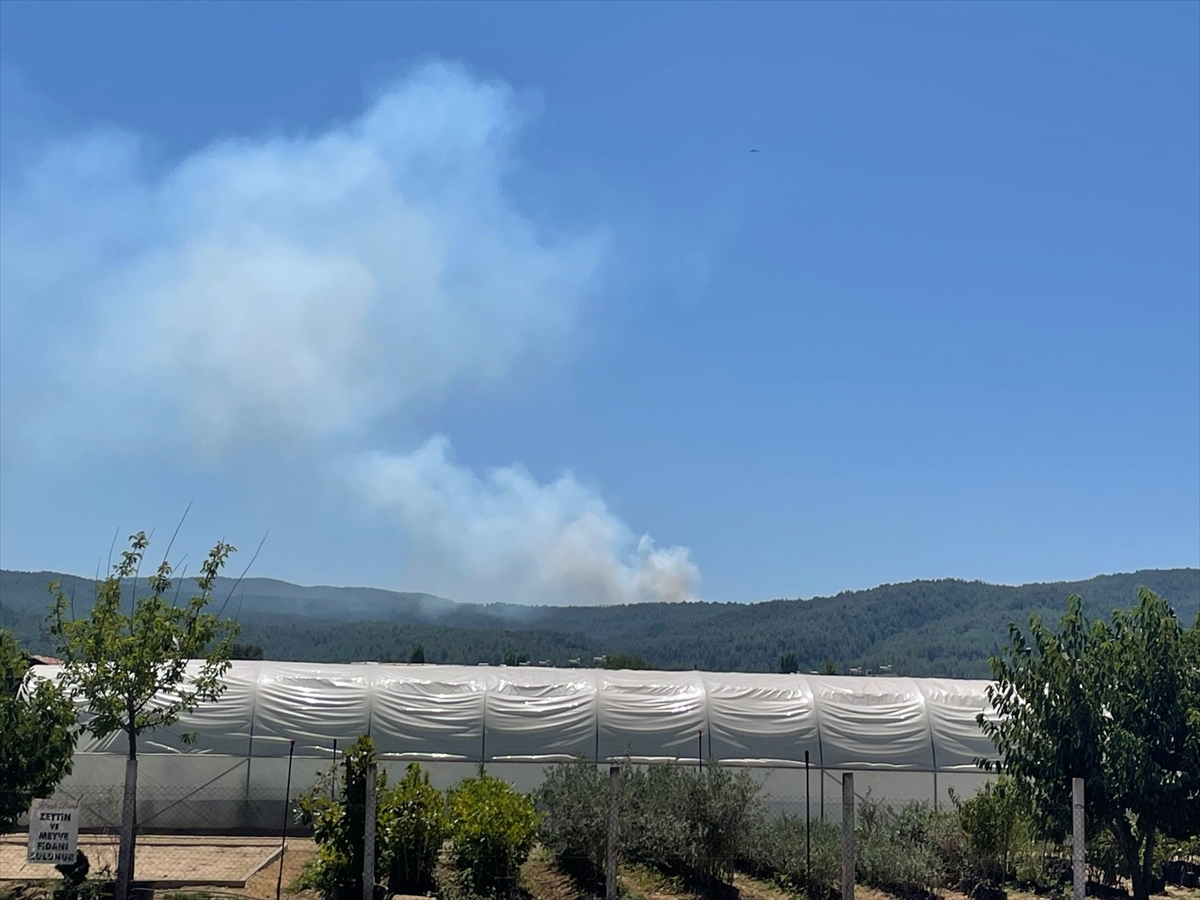 Muğla'da Çıkan Orman Yangınına Müdahale Ediliyor