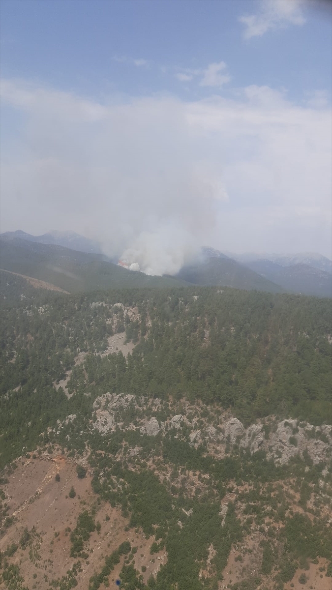 Antalya Akseki'de Orman Yangını Çıktı