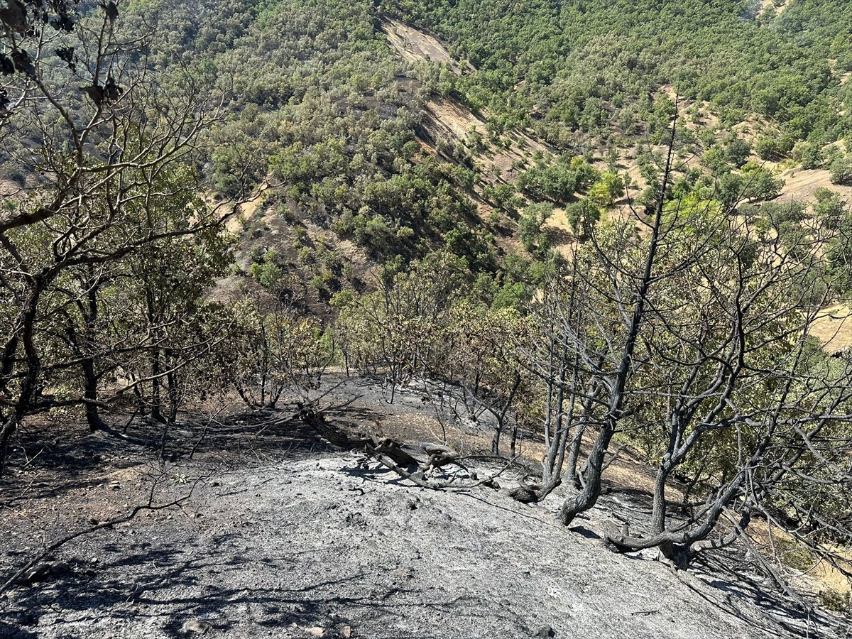 Bingöl'de Ormanlık Alanda Çıkan Yangın Kontrol Altına Alındı