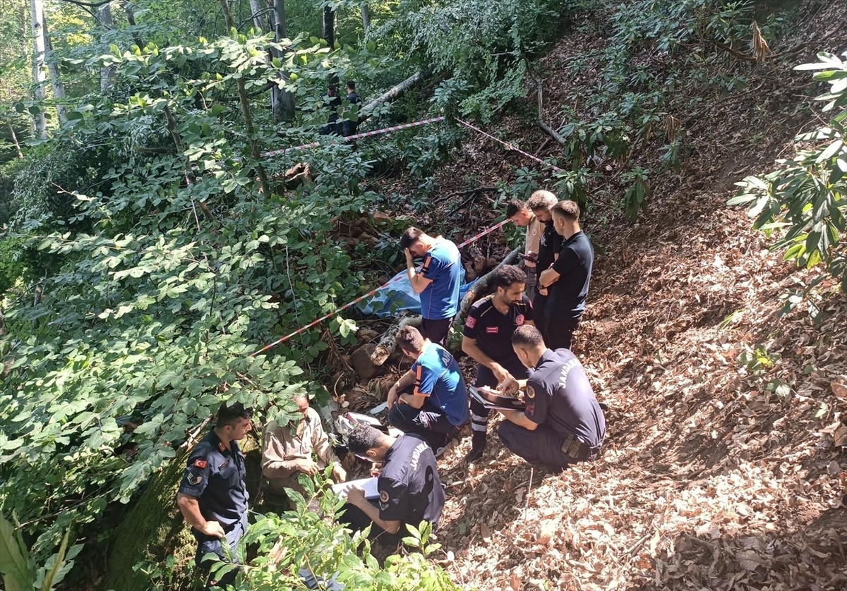 Bartın'da Kestiği Ağacın Altında Kalan Orman İşçisi Öldü